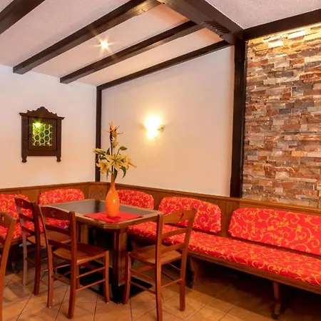 Cafe Alpina Guest house