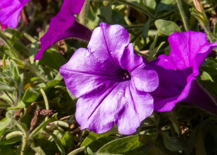 Cafe Alpina Guest house Innsbruck