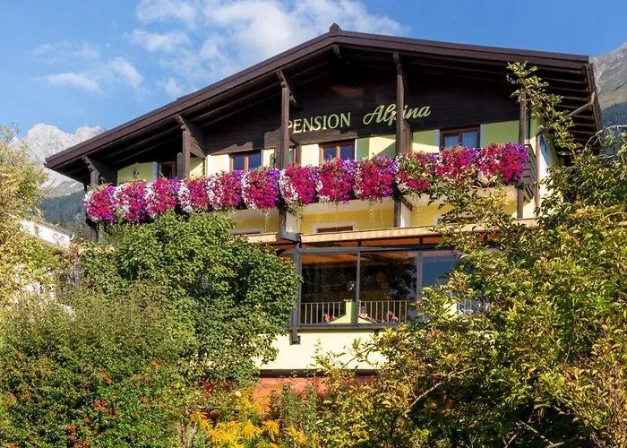 Cafe Alpina Guest house 3*