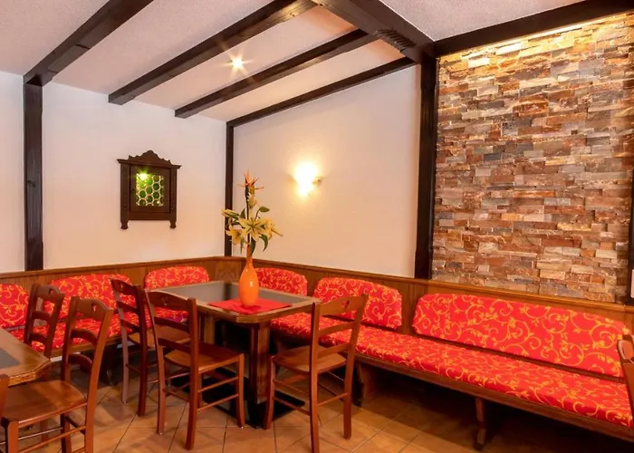 Cafe Alpina Guest house